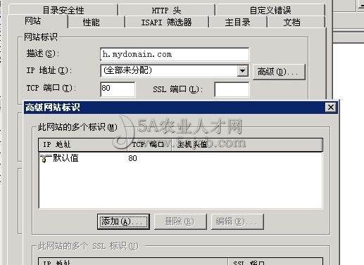 域名遭泛解析的IIS設(shè)置