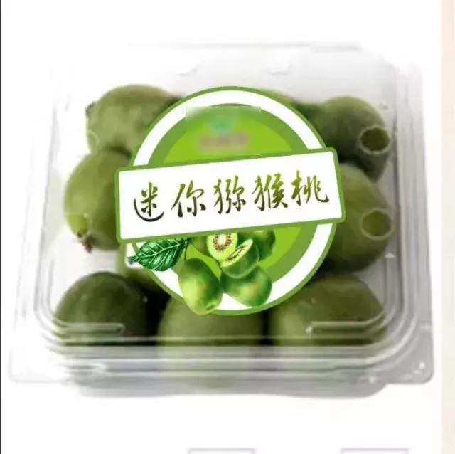 艾軍|軟棗獼猴桃驚艷了吃貨的世界
