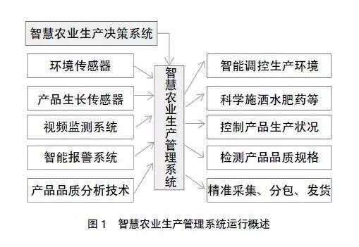 我國(guó)智慧農(nóng)業(yè)的發(fā)展現(xiàn)狀、問(wèn)題及戰(zhàn)略對(duì)策